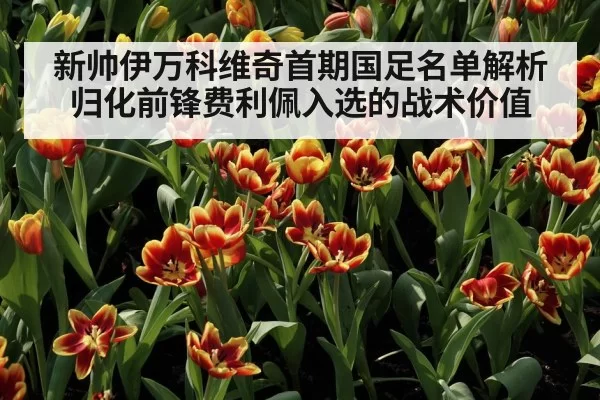 新帅伊万科维奇首期国足名单解析 归化前锋费利佩入选的战术价值 | hth