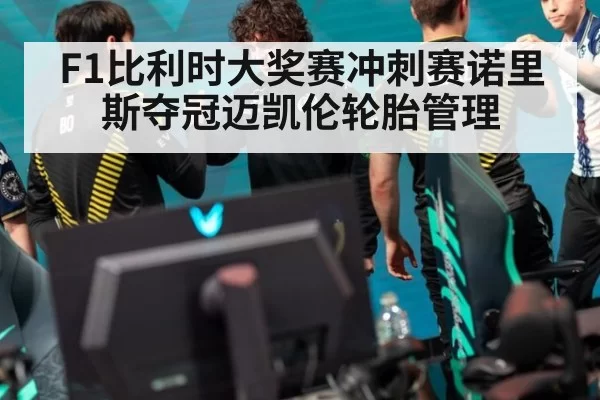 F1比利时大奖赛冲刺赛诺里斯夺冠迈凯伦轮胎管理
